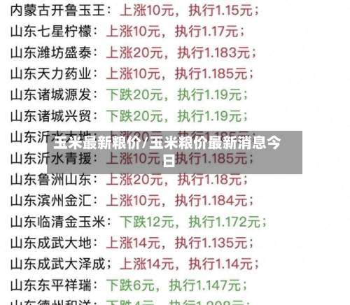 玉米最新粮价/玉米粮价最新消息今日-第2张图片