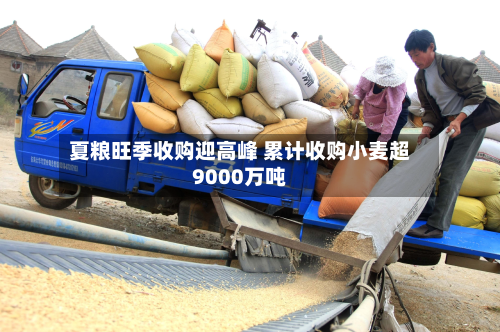 夏粮旺季收购迎高峰 累计收购小麦超9000万吨