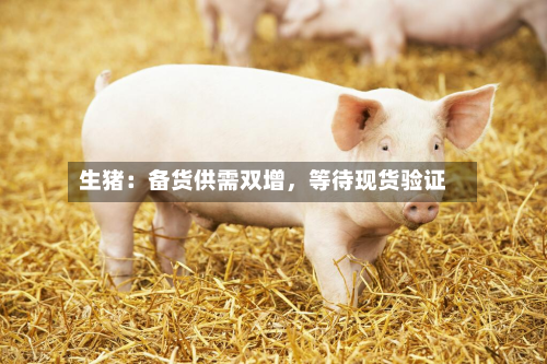 生猪:备货供需双增,等待现货验证-第1张图片