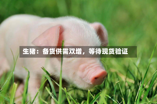 生猪:备货供需双增,等待现货验证-第2张图片