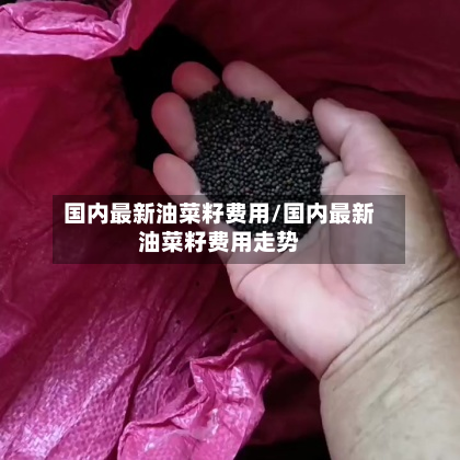 国内最新油菜籽费用/国内最新油菜籽费用走势-第2张图片