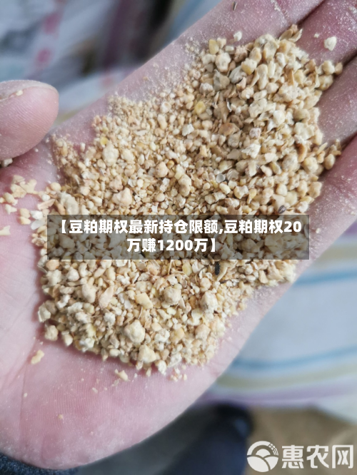 【豆粕期权最新持仓限额,豆粕期权20万赚1200万】