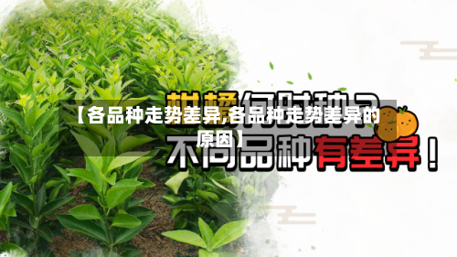 【各品种走势差异,各品种走势差异的原因】