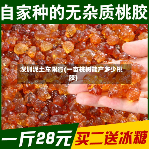 深圳泥土车限行(一亩桃树能产多少桃胶)-第2张图片