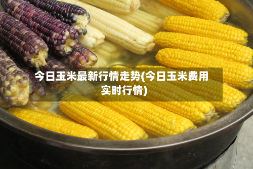 今日玉米最新行情走势(今日玉米费用实时行情)