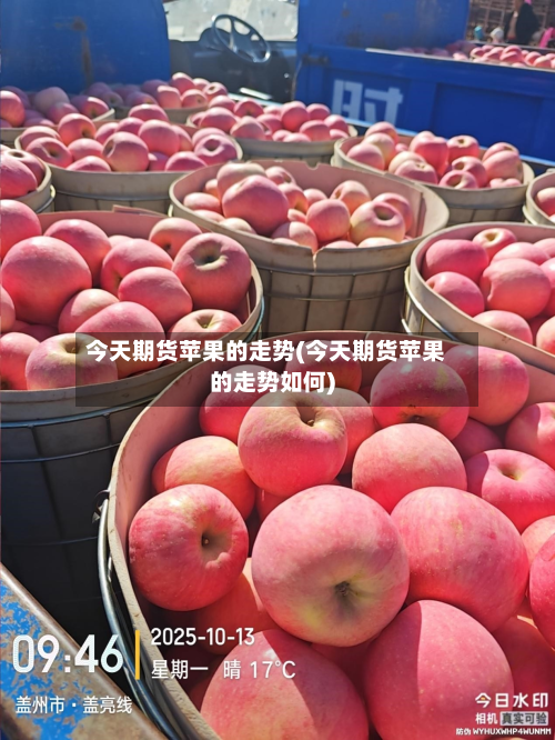 今天期货苹果的走势(今天期货苹果的走势如何)