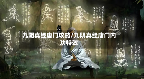 九阴真经唐门攻略/九阴真经唐门内功特效