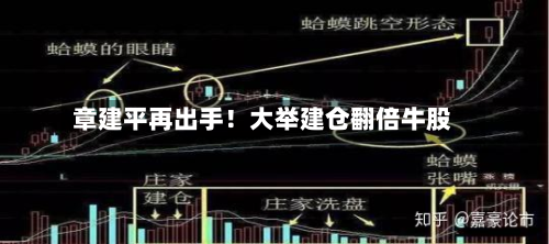 章建平再出手！大举建仓翻倍牛股-第2张图片