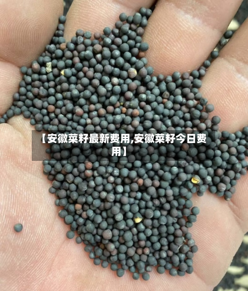 【安徽菜籽最新费用,安徽菜籽今日费用】