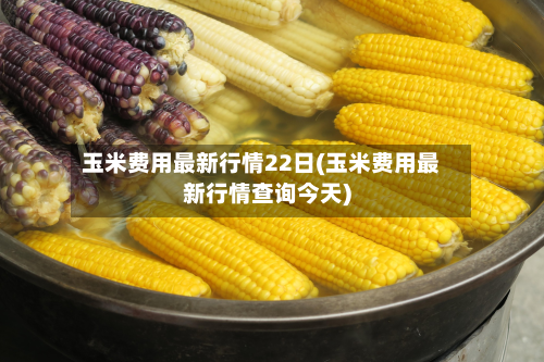 玉米费用最新行情22日(玉米费用最新行情查询今天)