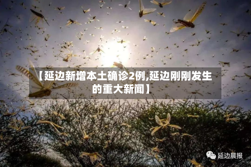 【延边新增本土确诊2例,延边刚刚发生的重大新闻】-第3张图片