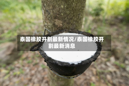 泰国橡胶开割最新情况/泰国橡胶开割最新消息