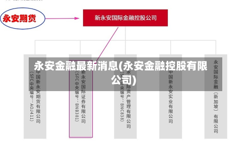 永安金融最新消息(永安金融控股有限公司)