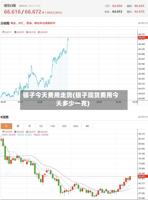 银子今天费用走势(银子现货费用今天多少一克)