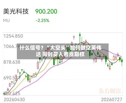 什么信号？“大空头”加码做空英伟达 同时买入看涨期权