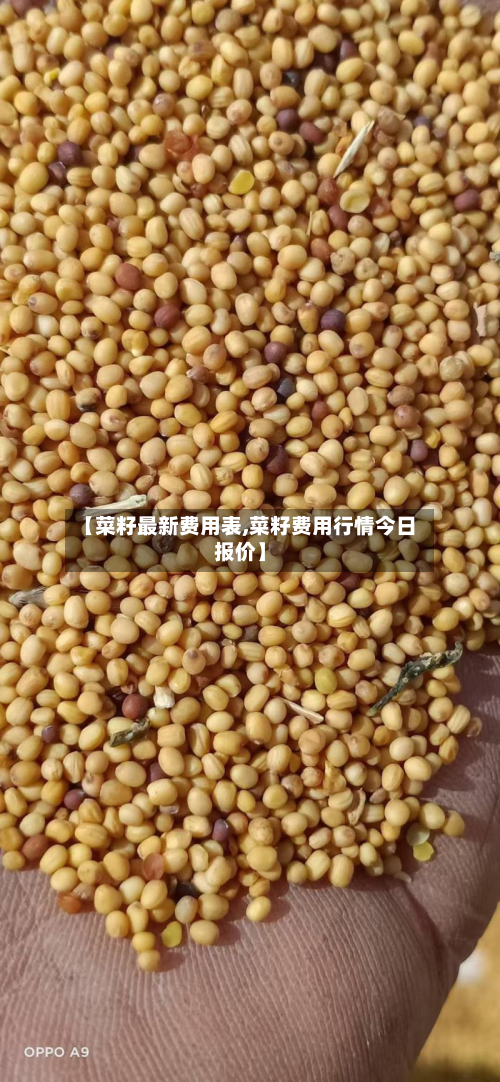 【菜籽最新费用表,菜籽费用行情今日报价】