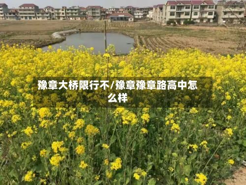 豫章大桥限行不/豫章豫章路高中怎么样-第2张图片