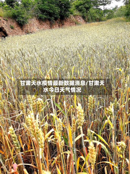 甘肃天水疫情最新数据消息/甘肃天水今日天气情况-第1张图片