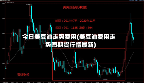 今日美豆油走势费用(美豆油费用走势图期货行情最新)-第1张图片