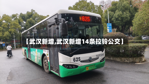 【武汉新增,武汉新增14条拉铃公交】-第1张图片