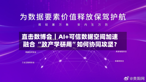 直击数博会|AI+可信数据空间加速融合 “政产学研用”如何协同攻坚?-第1张图片