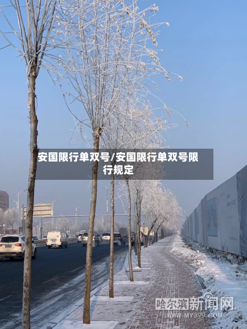 安国限行单双号/安国限行单双号限行规定-第2张图片