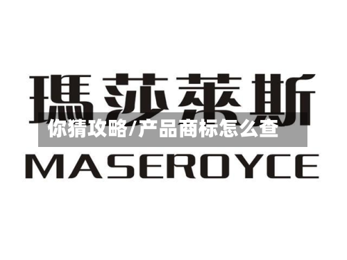 你猜攻略/产品商标怎么查-第3张图片