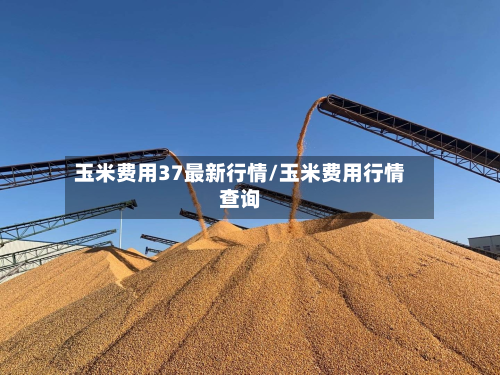 玉米费用37最新行情/玉米费用行情查询-第2张图片