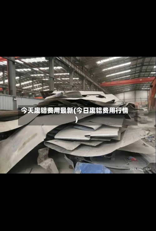 今天废铝费用最新(今日废铝费用行情)-第2张图片