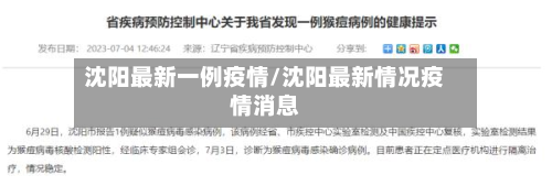 沈阳最新一例疫情/沈阳最新情况疫情消息-第3张图片
