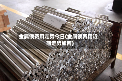 金属镁费用走势今日(金属镁费用近期走势如何)