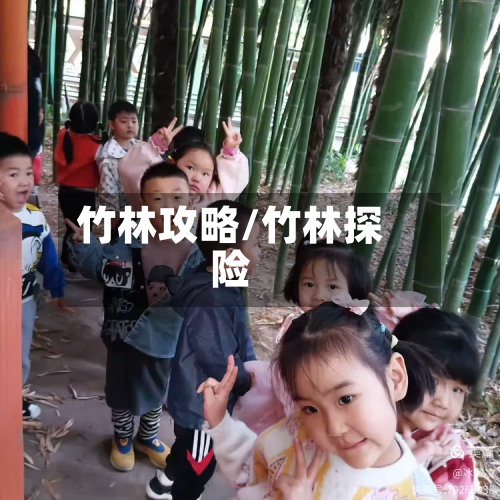 竹林攻略/竹林探险