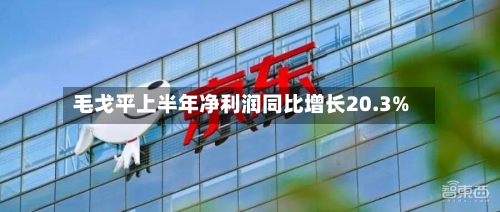 毛戈平上半年净利润同比增长20.3%