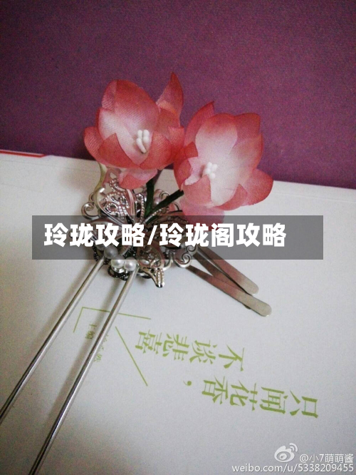 玲珑攻略/玲珑阁攻略