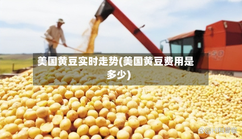 美国黄豆实时走势(美国黄豆费用是多少)