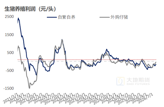 生猪:备货供需双增,等待现货验证
